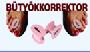 BÜTYÖKKORREKTOR
